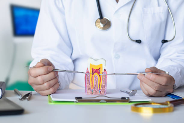 Best Same-Day Emergency Dental Services in Lake Secession, SC
